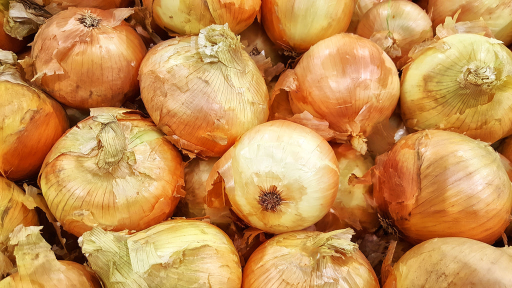Famous for its large size and sweetness! Stores up to one month. Separate before planting.