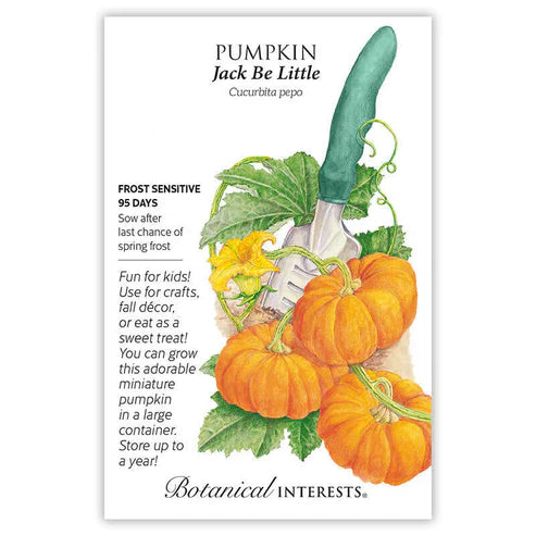 Decorate with paint or glitter for pretty accents, or fill with your favorite stuffing, casserole, soup, or custard for a fun appetizer. These tiny, delicious pumpkins are 3"–4" across and 2" tall. Compact vines (3'–5' long) grow 6–10 fruits on each plant. Can be grown in a large container and trellised to grow vertically. When growing in containers, use one that is at least 5 gallons, and 18" deep; only 1 plant per container.