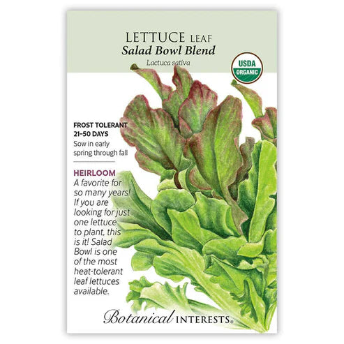 Fill your bowl with the mixed colors of Salad Bowl Blend! This blend has it all–great flavor, good looks, and heat tolerance. Harvest young for terrific baby greens. 'Green Salad Bowl' won the All-America Selections award in 1952, and 'Red Salad Bowl' won the Award of Garden Merit from the Royal Horticultural Society in 1995. Successive sowings will produce sweet lettuce spring through late fall! We've filled this packet with a whopping 2.5 grams of seed, enough for a small, fresh greens farm!