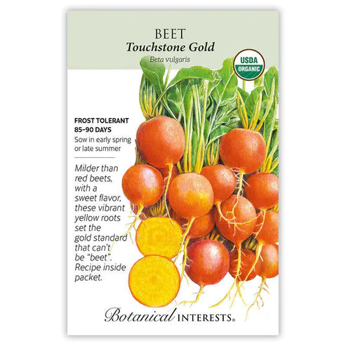 Not only does the color of this beet make it stand apart, but so does the flavor. Golden beets are known for being extra sweet and less "earthy" than their red counterparts. Grown alongside red, white, and candy-striped beets, your harvest will create a playful plate of color at the table. Improved germination and performance over other golden cultivars. Best at 1"–3" round.