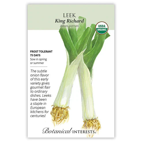 Leeks' mild but rich onion flavor and cold tolerance make them a favorite in home kitchens and gardens. This onion relative has compact stems that thicken but do not form bulbs like onions. 'King Richard' produces extra long white stems early. Enjoy fresh, grilled, sautéed, and added to soups and stews. Cold tolerant to 20°F and can be left in the garden for an extended harvest.