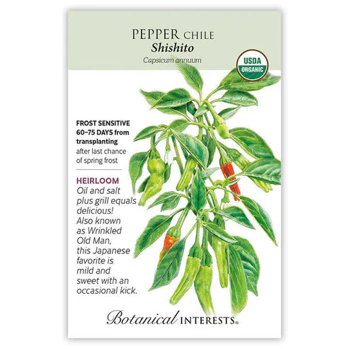The 'Shishito' is finding its way into many restaurants as a popular appetizer. The 2"–4" slender peppers have a citrusy, slightly smoky flavor enhanced by grilling or sautéing, and can be the life of the party when an occasional hot one passes the mouth of the unsuspecting. Highly productive plants. 50–200 Scoville heat units (mild).