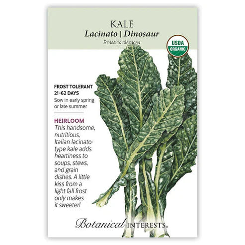 This tender kale is also known as black Tuscan kale, black cabbage, and black palm. Vigorous dark green to black leaves of this 18th century heirloom are favored by gourmets. Harvest the first shoots as tender young salad greens in just 21 days when 2"–4" tall, or achieve full-sized plants in 2 months. Try Kale & Pasta and Tuscan Kale Pesto recipes inside this packet.