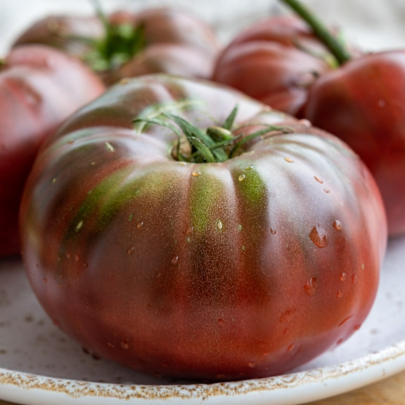 Tomato - Black Prince Russian Heirloom