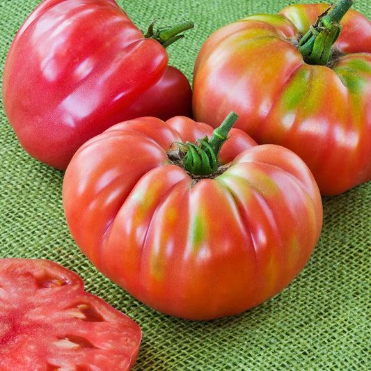 Heirloom. This old-fashioned beefsteak has large, sweet fruits that are lower in acid and quite meaty, making them perfect for slicing. The indeterminate vines will grow tall and bear fruit all summer long, so be sure to stake strongly or cage. One slice makes a great sandwich filling!