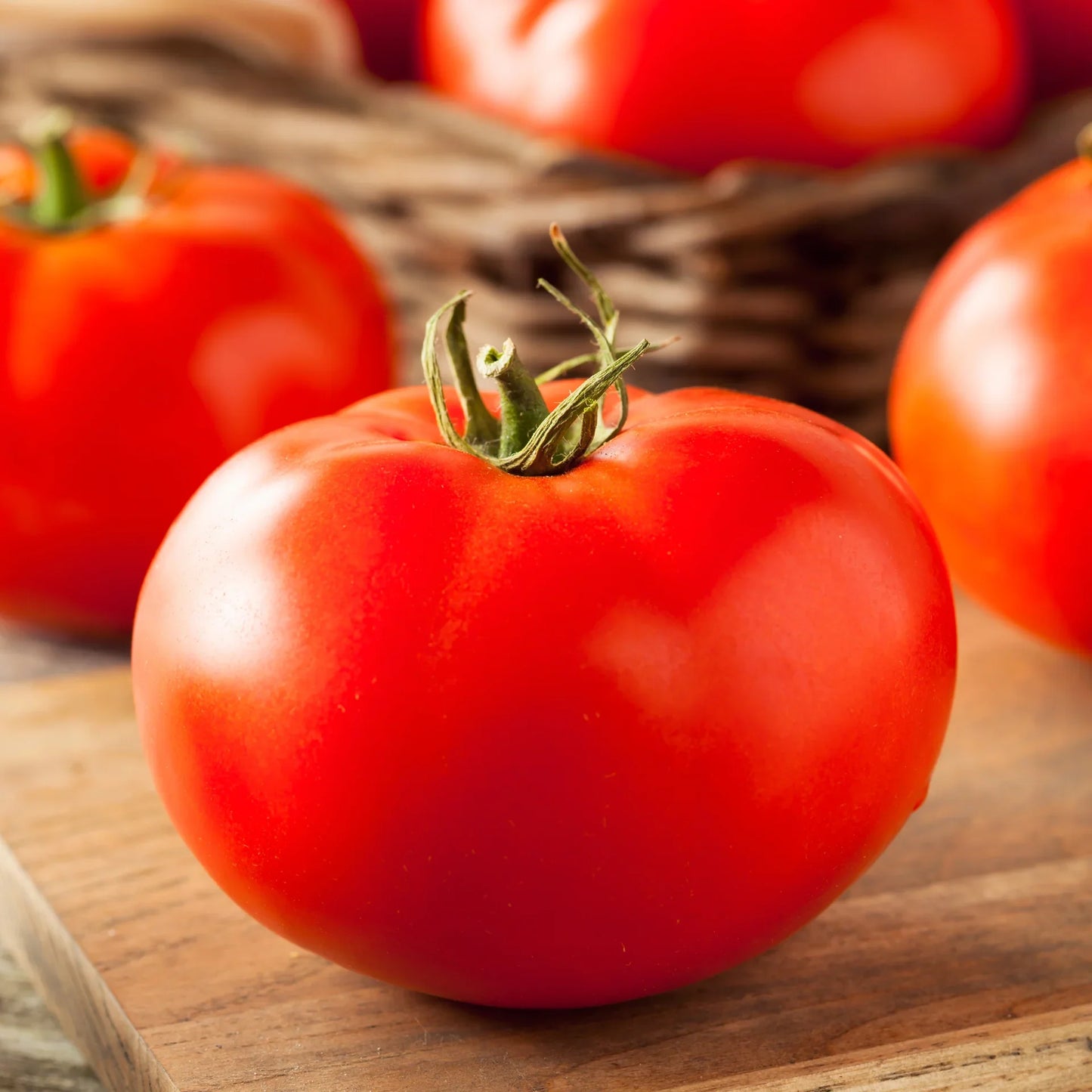 Beefsteaks are always grown for their flavor and size for slicing and summer sandwiches. This variety produces large, meaty red fruit over a long season on indeterminate plants. Because it matures late compared to many other tomatoes, it will provide a fresh harvest in the latter part of the season. This is an old favorite beloved by gardeners in the Northeast and grown throughout the country. Vigorous vines grow best in tall cages. Resistant to fusarium wilt (F) and nematodes (N).