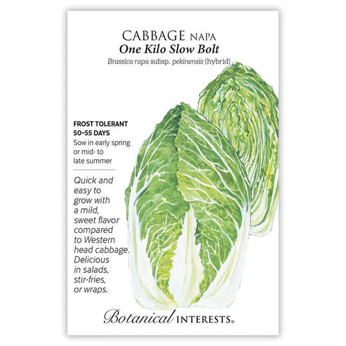 Also called napa cabbage, 'One Kilo Slow Bolt' has a delicate flavor, a soft texture in between that of lettuce and regular cabbage, and tight heads have a creamy yellow interior. Grows with ease in fall, and can be sown in spring if care is taken to protect young plants from temperatures of 50Â°F or below, which may cause plants to bolt. Grows best at 60Â°-65Â°F.
