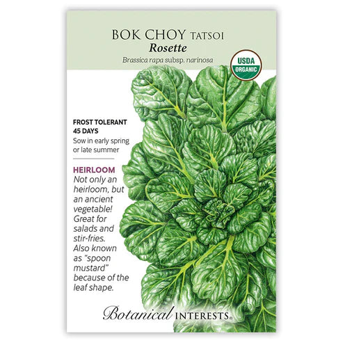 Believed to be of very ancient origin, the spoon-shaped, dark green, evenly spaced leaves make tatsoi a plant worthy to be grown for its decorative value alone! More nutritious (high calcium and vitamin content) and more flavorful (slightly mustard-like) than traditional bok choy; many consider it a superior flavor, and it is prized for its smooth texture. Very cold tolerant; withstands temperatures down to 15Â°F. Tatsoi can be harvested even when there is snow on the ground!