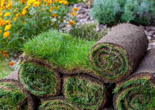 Our signature blend of Bluegrass and Rye. Grown locally in Stagecoach, NV and perfectly suited for the Eastern Sierras..PICKUP PRICE